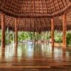 Energy Medicine Certification  with Golden Tsunami - Tulum, October 18-24, 2024 - CLOSED - Image 11