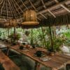 Energy Medicine Certification  with Golden Tsunami - Tulum, October 18-24, 2024 - CLOSED - Image 12
