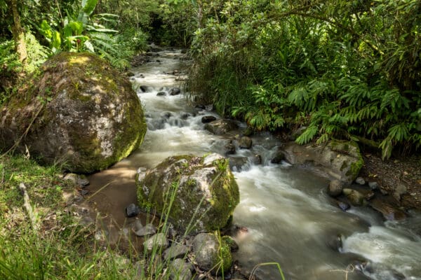 Costa Rica Retreat - Quantum leaping your soul journey! - Image 7