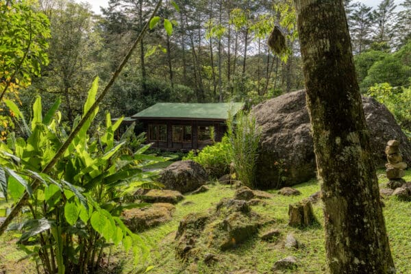 Costa Rica Retreat - Quantum leaping your soul journey! - Image 5